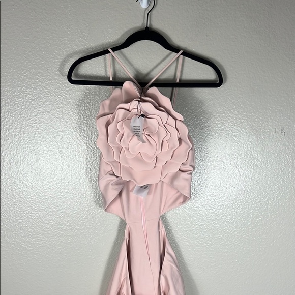 Lovers + Friends Artemis Gown in Light Pink - Picture 3 of 9